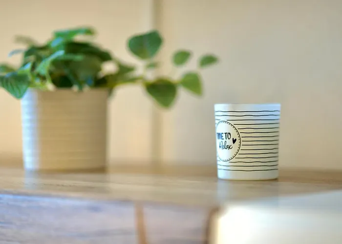 Citynah, Geraeumig, Wlan, Alles Neu, Vollausgestattet Apartament Magdeburg